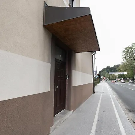 Suzana Iron's Ljubljana